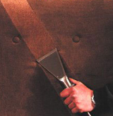 Upholstery Cleaning